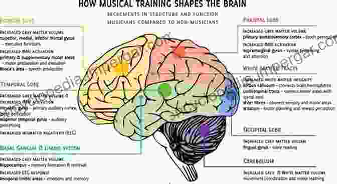 A Diagram Illustrating The Neural Architecture Of Motivation, Highlighting Key Brain Regions Involved In Processing Rewards, Encoding Goals, And Regulating Actions. Behavioral Neuroscience Of Motivation (Current Topics In Behavioral Neurosciences 27)