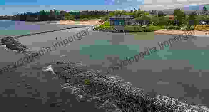 A Panoramic View Of A Tide And Current Fishpond In Hawai'i, Surrounded By Lush Vegetation And The Sparkling Ocean. Tide And Current: Fishponds Of Hawai I