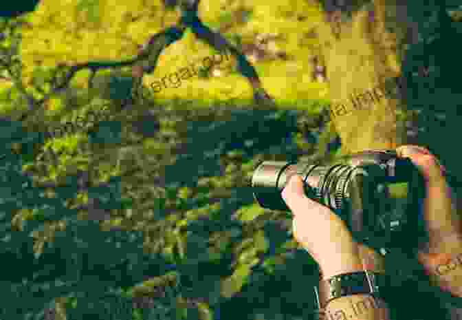 A Photograph Of A Photographer Setting Up A Camera To Capture A Rainforest Scene. The Flowering Of Australia S Rainforests: Pollination Ecology And Plant Evolution