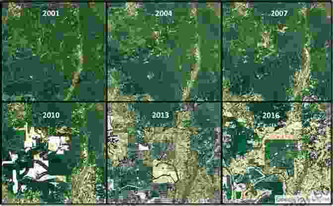 A Satellite Image Showing Areas Of Rainforest Deforestation In Australia. The Flowering Of Australia S Rainforests: Pollination Ecology And Plant Evolution