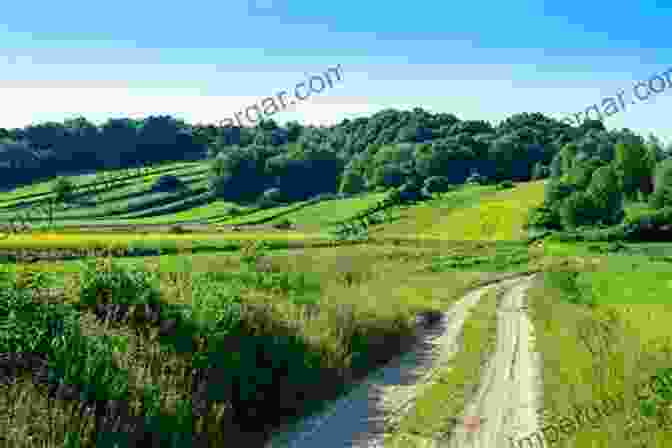 A Serene Landscape Of The Rolling Roztocze Hills In Poland. The Carpathians: Discovering The Highlands Of Poland And Ukraine (NIU In Slavic East European And Eurasian Studies)