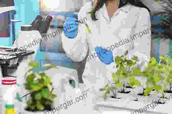 An Image Depicting A Scientist Studying Plant Physiology In A Laboratory Horticultural Reviews Volume 47 F Zapata