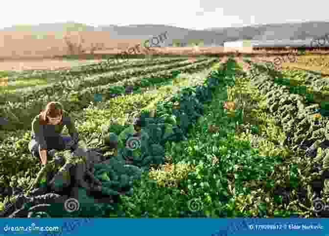 An Image Of A Farmer Inspecting A Field Of Organic Vegetables Horticultural Reviews Volume 47 F Zapata