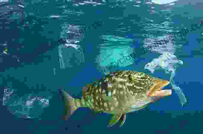 An Image Of A Fish Swimming In A Polluted Ocean Salmon Wars: The Dark Underbelly Of Our Favorite Fish