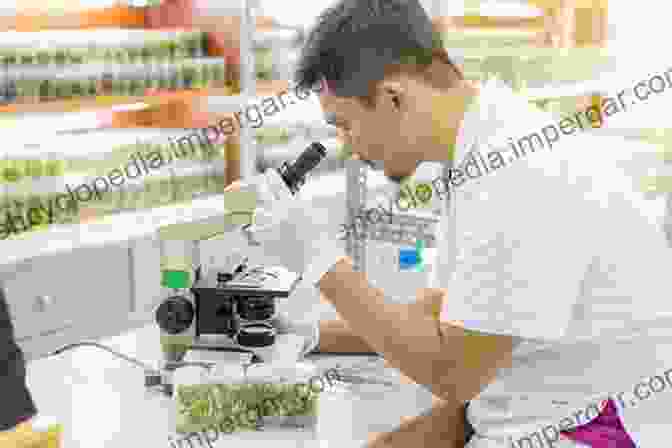 An Image Of A Researcher Working With Plant Tissue Cultures In A Laboratory Horticultural Reviews Volume 47 F Zapata