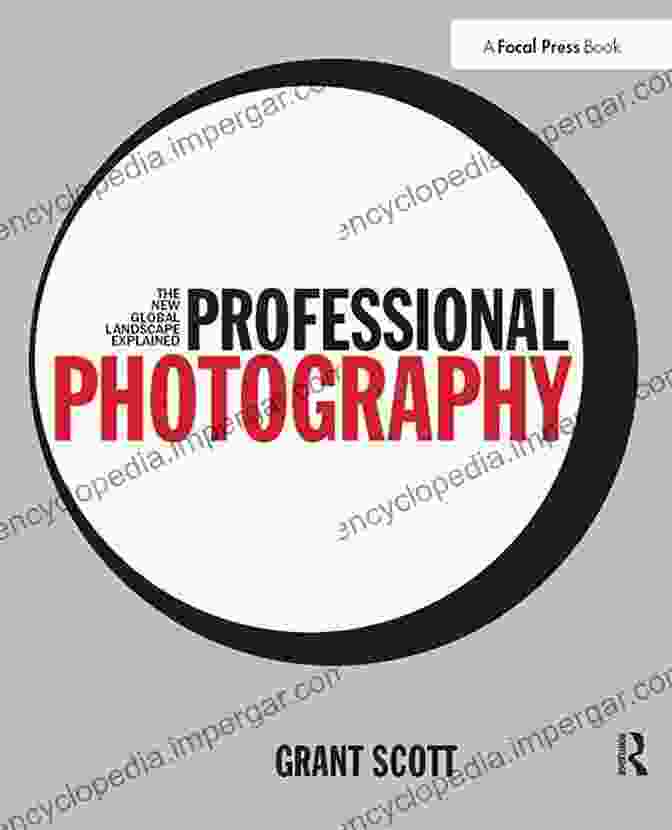 Book Cover Of Professional Photography: The New Global Landscape Explained Professional Photography: The New Global Landscape Explained