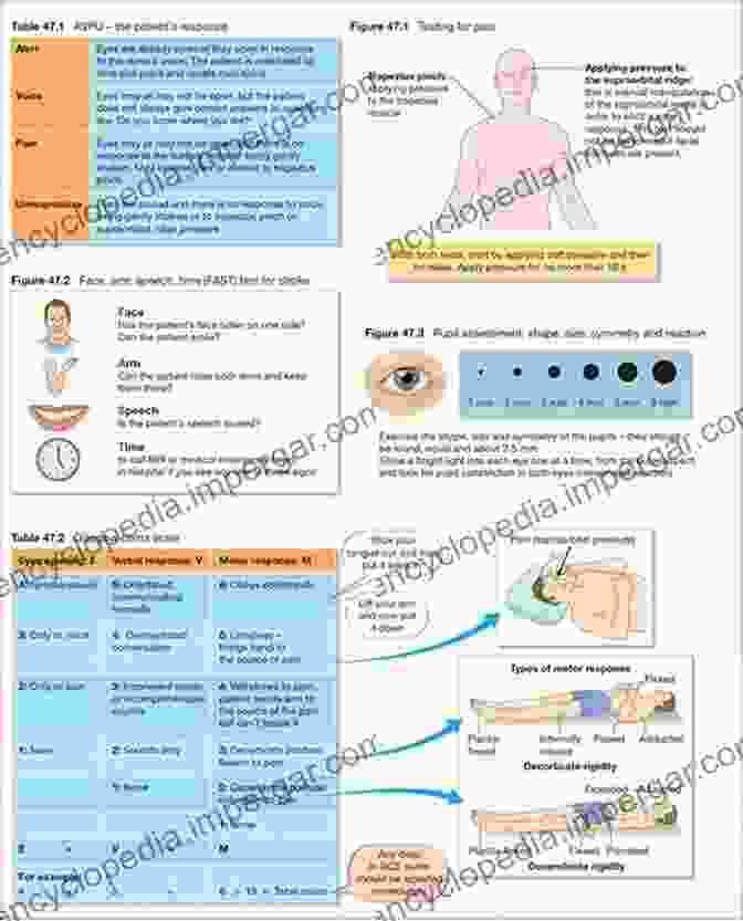 Chapter 3: Neurological Examination Clinical Examination Skills In The Adult Critically Ill Patient