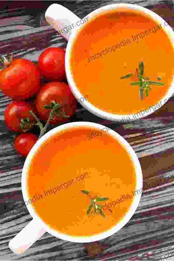 Creamy Tomato Soup The Complete Bariatric Cookbook: 250 Easy Meal Plans Healthy Recipes To Eat Well Lifelong Weight Management