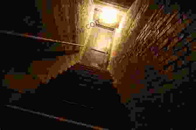 Dark And Eerie Basement With Strange Noises Emanating From Within What Is All That Noise In The Basement?