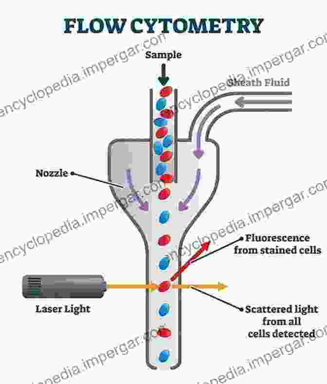 Diagram Of A Flow Cytometer Flow Cytometry Basics For The Non Expert (Techniques In Life Science And Biomedicine For The Non Expert)