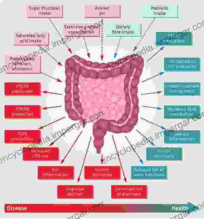 Diagram Of The Digestive System Highlighting The Role Of The Gut Microbiome The Gut Microbiome In Health And Disease