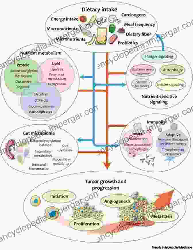 Dietary Modulation Influencing Molecular Mechanisms Colon Cancer Prevention: Dietary Modulation Of Cellular And Molecular Mechanisms (Advances In Experimental Medicine And Biology 470)