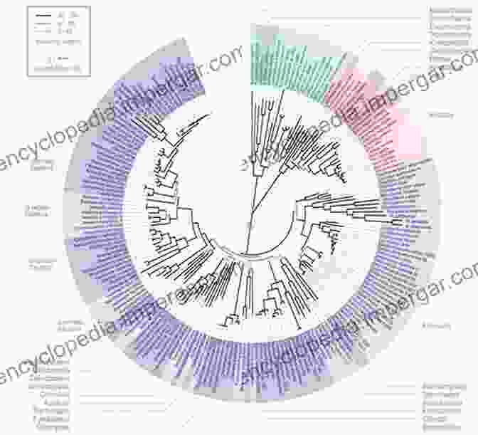 Evolutionary Tree Of Rumen Microorganisms Rumen Microbiology: From Evolution To Revolution