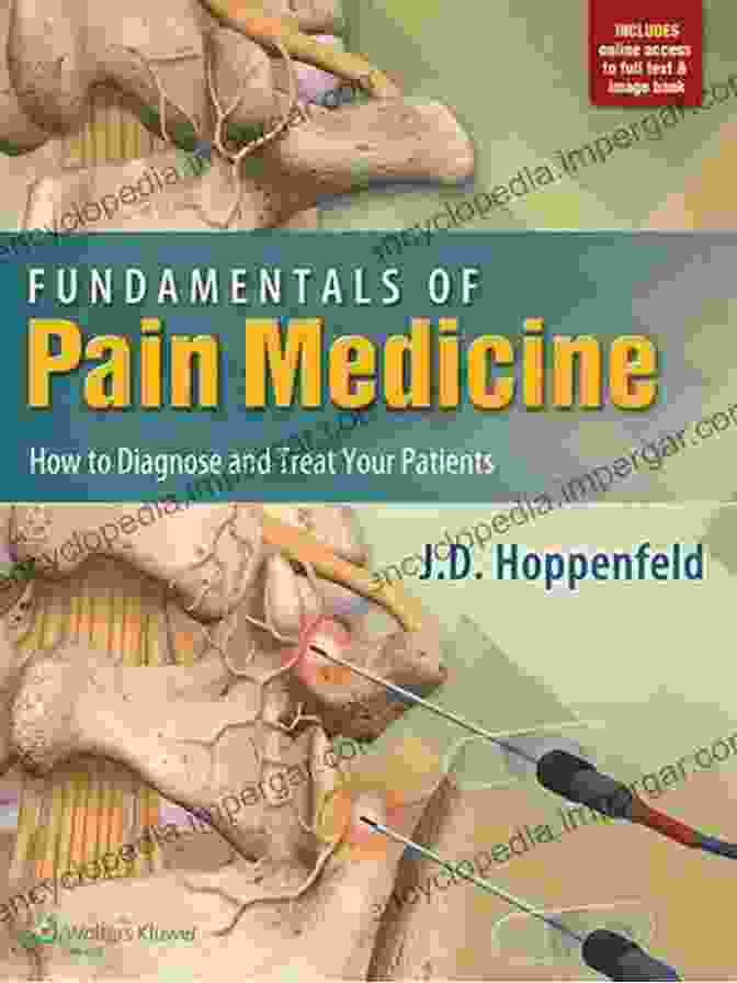 Fundamentals Of Pain Medicine: The Textbook For Students And Practitioners Fundamentals Of Pain Medicine