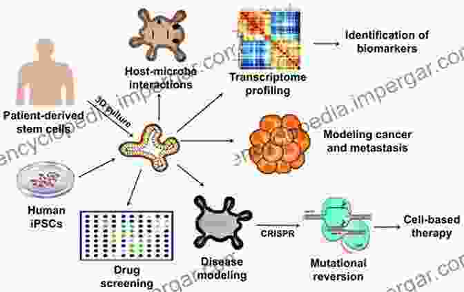 Human IPS Cells For Disease Modelling Human IPS Cells In Disease Modelling