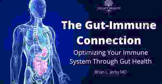 Illustration Of The Gut Immune Connection The Gut Microbiome In Health And Disease