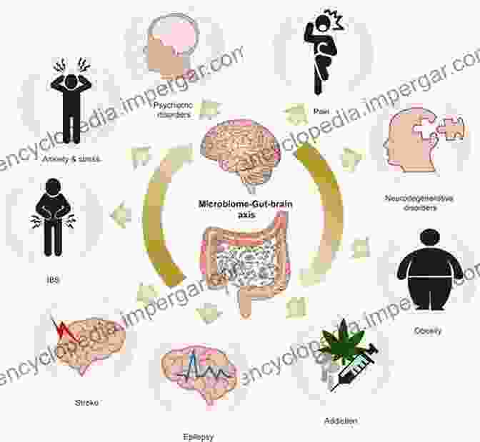 Image Representing The Link Between The Gut Microbiome And Mental Health The Gut Microbiome In Health And Disease