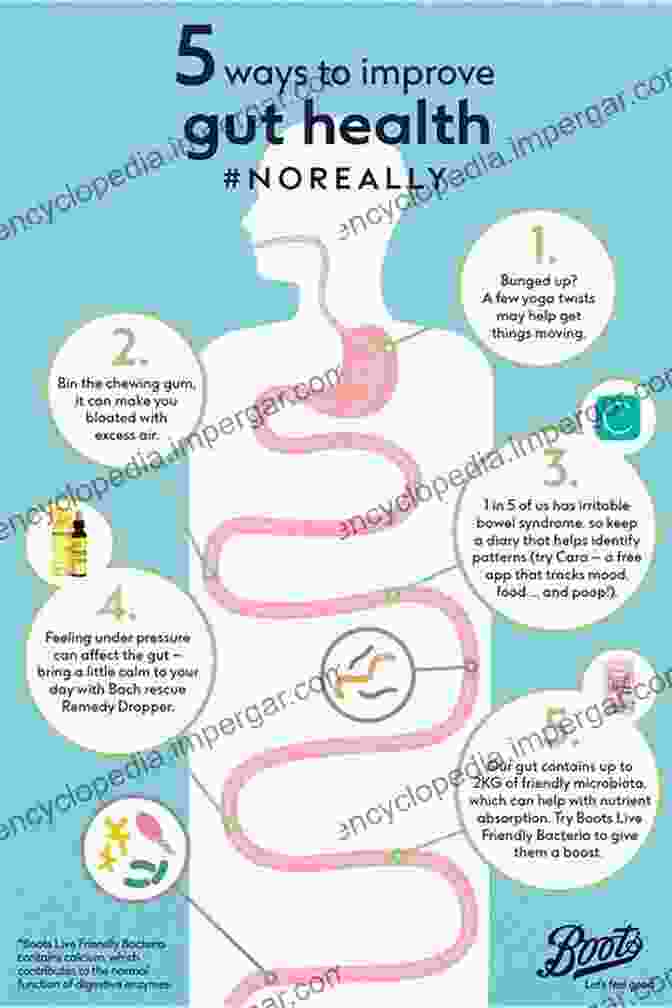 Infographic On Ways To Optimize Gut Health The Gut Microbiome In Health And Disease