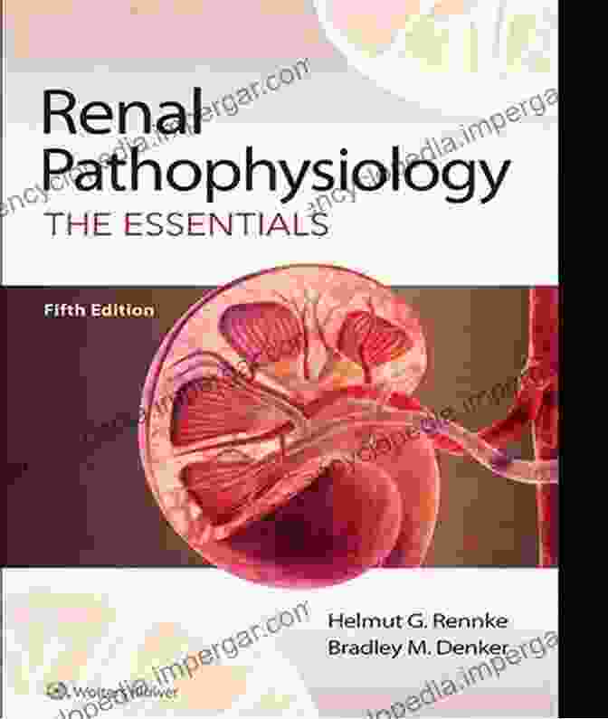 Kidney Biopsy Essentials Of Pathophysiology: Concepts Of Altered Health States