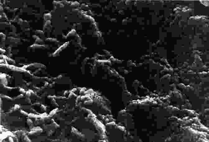 Microscopic Organisms On Mars The Microbes Of Mars Barry DiGregorio