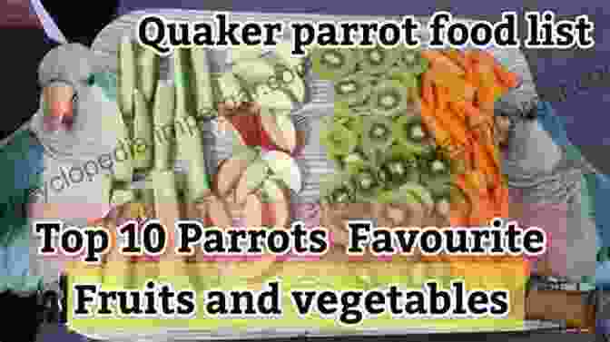 Quaker Parrot Eating A Variety Of Fruits And Vegetables Quaker Parrot Quaker Parrots As Pets Quaker Parrot Keeping Pros And Cons Care Housing Diet And Health