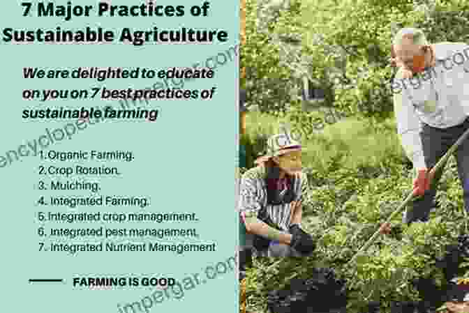 Sustainable Farming Practices Being Implemented By Smallholder Farmers Developing Smallholder Agriculture: A Global Perspective