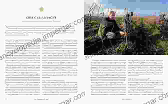 Vineyards In Champagne The Champagne Guide 2024 Tyson Stelzer