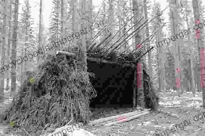 Wilderness Skills: Water Purification, Shelter Construction, Fire Starting, Foraging, Hunting Off The Grid Survival Book: Ultimate Guide To Self Sufficient Living Wilderness Skills Survival Skills Shelter Water Heat Off The Grid Power (Off The Grid Living Survival Bushcraft)