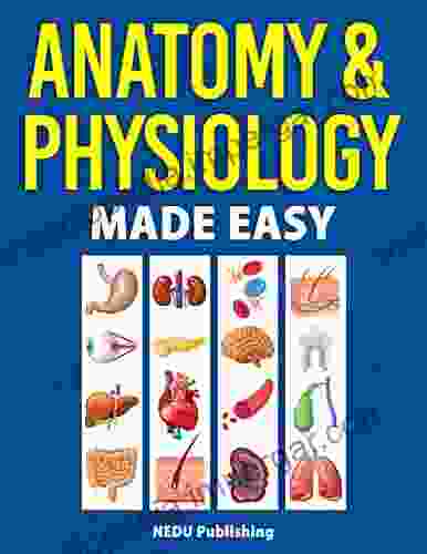 Anatomy Physiology Made Easy: An Illustrated Study Guide For Students To Easily Learn Anatomy And Physiology