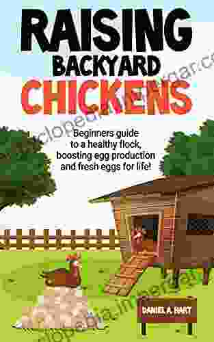 Raising Backyard Chickens: A Beginner S Guide To A Healthy Flock Boosting Egg Production And Fresh Eggs For Life