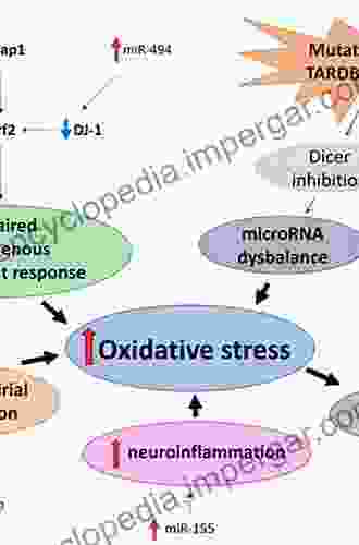 Biochemistry Of Oxidative Stress: Physiopathology And Clinical Aspects (Advances In Biochemistry In Health And Disease 16)