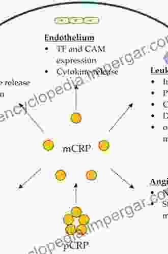 Biology Of C Reactive Protein In Health And Disease