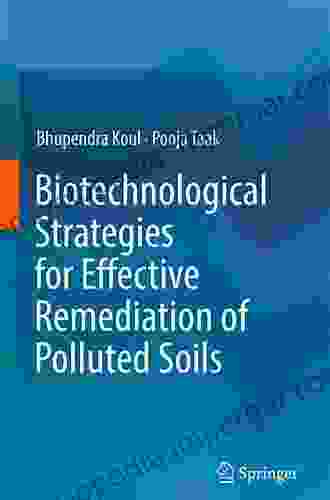 Biotechnological Strategies For Effective Remediation Of Polluted Soils