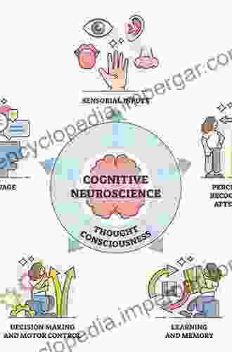 Interaction Between Attention And Language Systems In Humans: A Cognitive Science Perspective