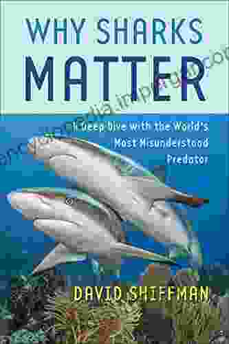 Why Sharks Matter: A Deep Dive With The World S Most Misunderstood Predator