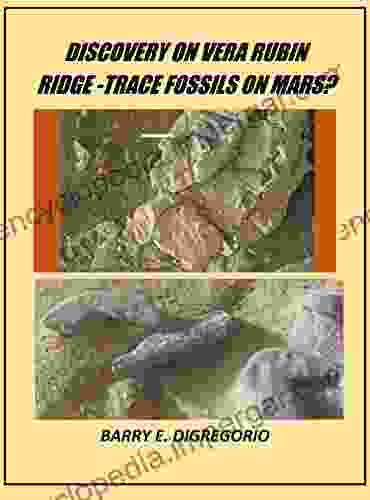 DISCOVERY ON VERA RUBIN RIDGE: TRACE FOSSILS ON MARS?