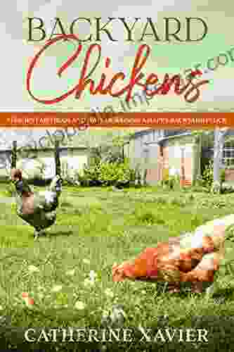 Backyard Chickens: Efficient Methods and Ways of Raising a Happy Backyard Flock