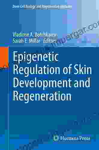 Epigenetic Regulation Of Skin Development And Regeneration (Stem Cell Biology And Regenerative Medicine)