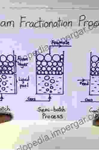 Foam Fractionation: Principles And Process Design