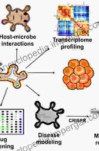 Human iPS Cells in Disease Modelling