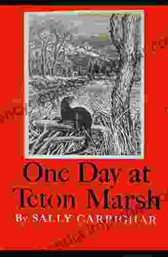 One Day At Teton Marsh