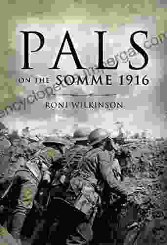 Pals On The Somme 1916 Roni Wilkinson