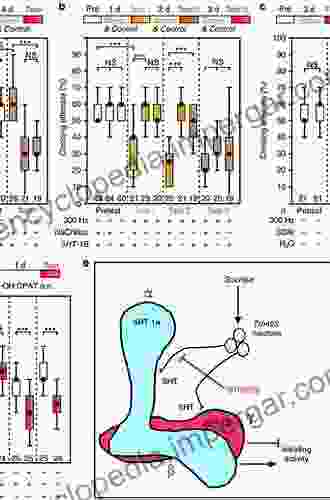 Vascular Endothelium: Pharmacologic And Genetic Manipulations (NATO Science A: 294)