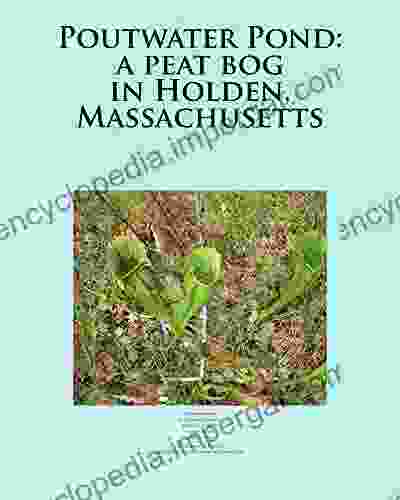 Poutwater Pond: A Peat Bog In Holden Massachusetts