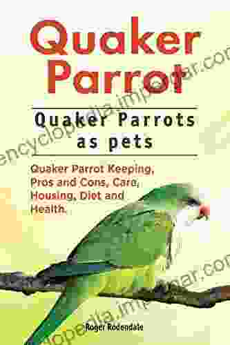 Quaker Parrot Quaker Parrots As Pets Quaker Parrot Keeping Pros And Cons Care Housing Diet And Health