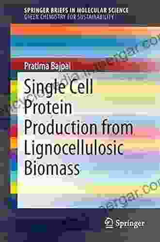 Single Cell Protein Production From Lignocellulosic Biomass (SpringerBriefs In Molecular Science)