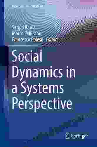 Social Dynamics In A Systems Perspective (New Economic Windows)