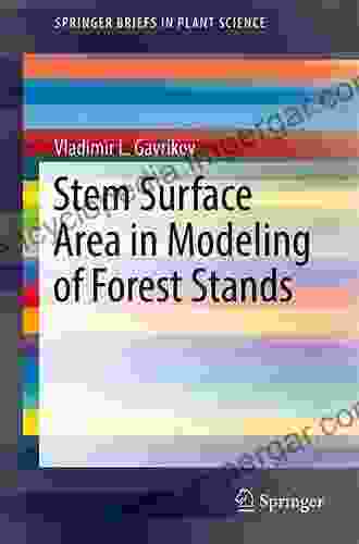 Stem Surface Area In Modeling Of Forest Stands (SpringerBriefs In Plant Science)