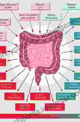 The Gut Microbiome In Health And Disease