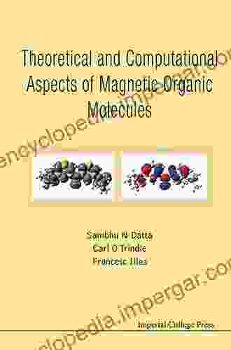 THEORETICAL AND COMPUTATIONAL ASPECTS OF MAGNETIC ORGANIC MOLECULES